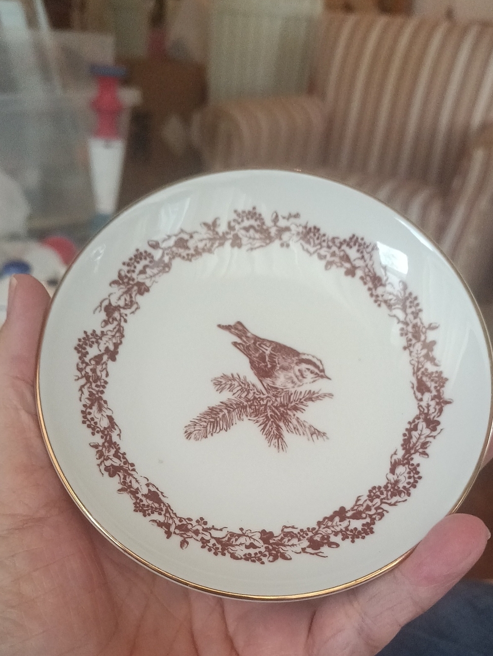1 Porcelain Bird Plate Small Plates 4.5" with Gold Trim Germany
